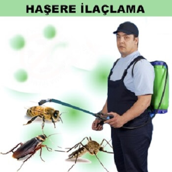 Pazar Böcek İlaçlama